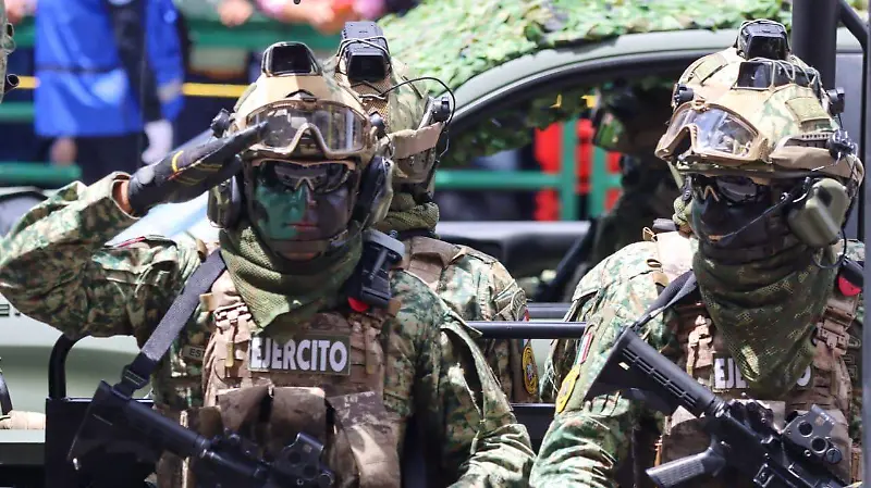 Desfile militar 2025